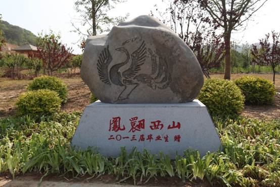 澳门新葡京荣获2013年度大连市青山生态系统工程建设绿化先进单位荣誉称号